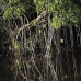 lake_garzacocha_la_v_0505_ecu1230.jpg